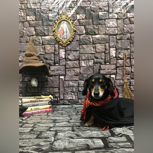 ✨🅲🅾🅲🅾 IS LIVE!✨ - Picture 4 of 17